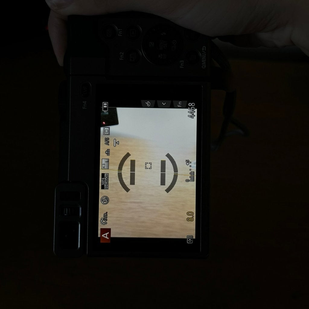 🍇 🎀 Panasonic Lumix DC-ZS70 4K Digital Camera (Silver) 📷