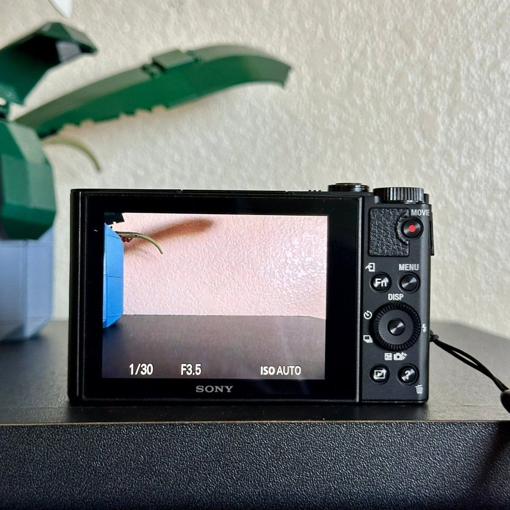 🍇 🎀 Sony Cyber-shot DSC-WX500 Digital Camera (Black) - Compact 18.2MP with 30X Optical Zoom 📷