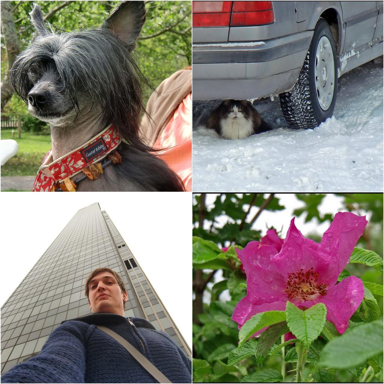 Used Casio Exilim H15 Digital Camera — Tested & Ready! 📸