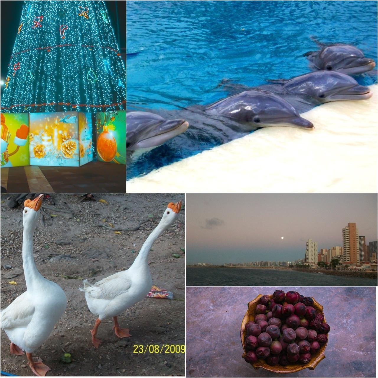 Used Kodak EasyShare M320 Digital Camera