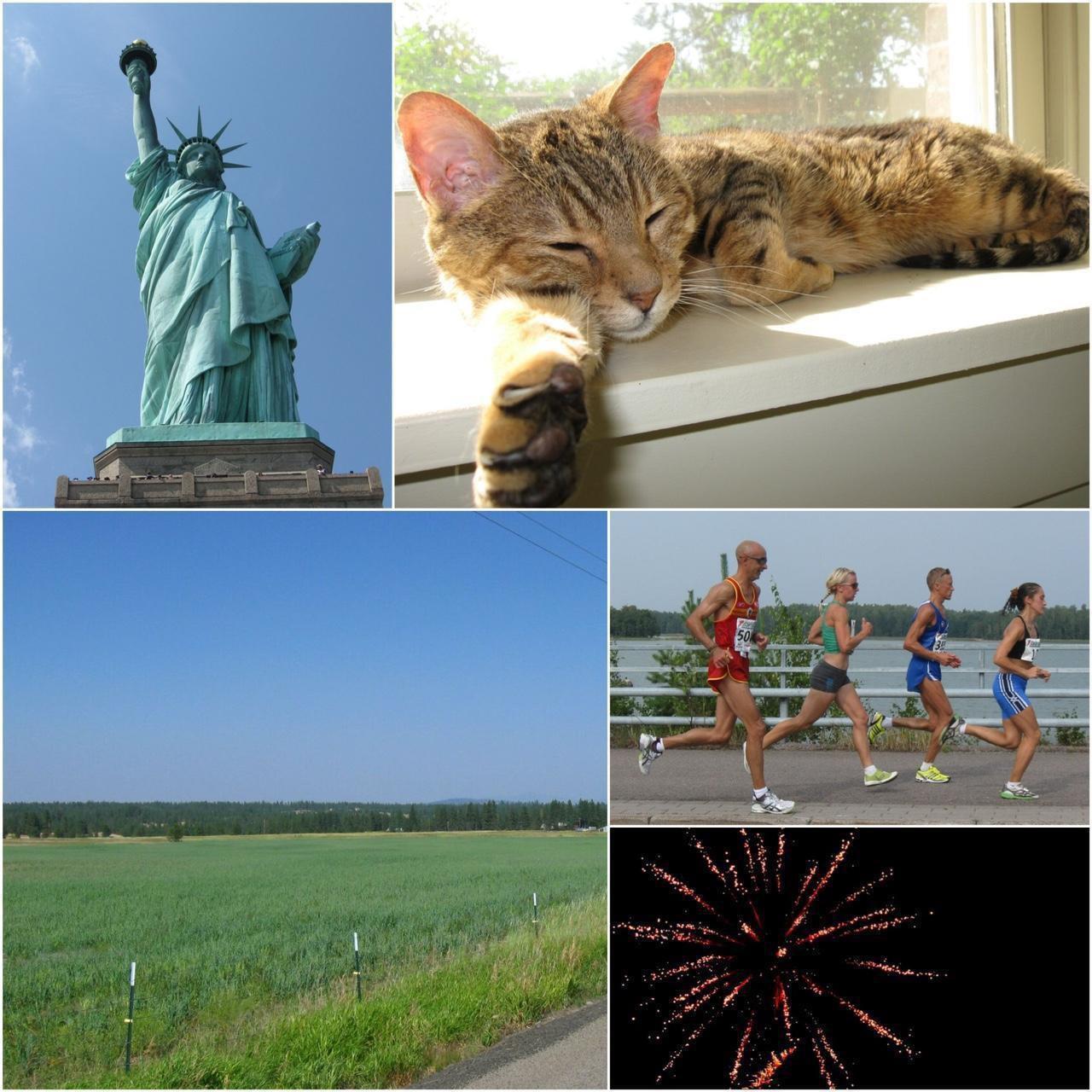 Used Canon Powershot A590 IS Digital Camera — Tested & Ready! 📸