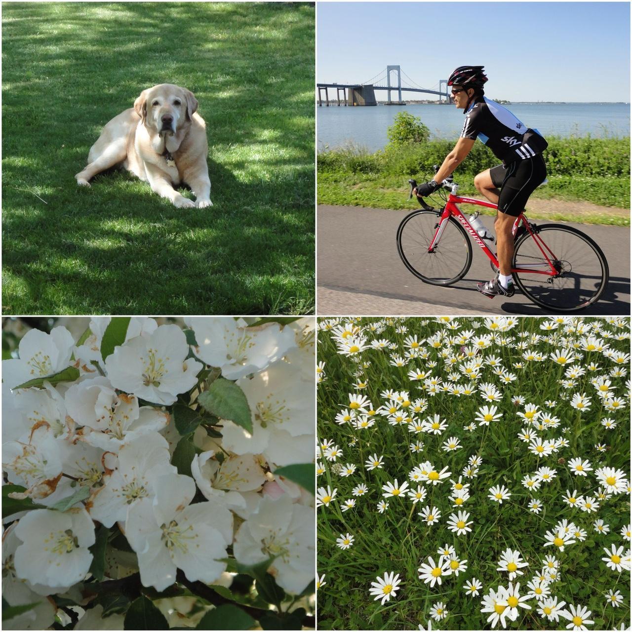 Used Sony CyberShot W560 Digital Camera — Tested & Ready! 📸