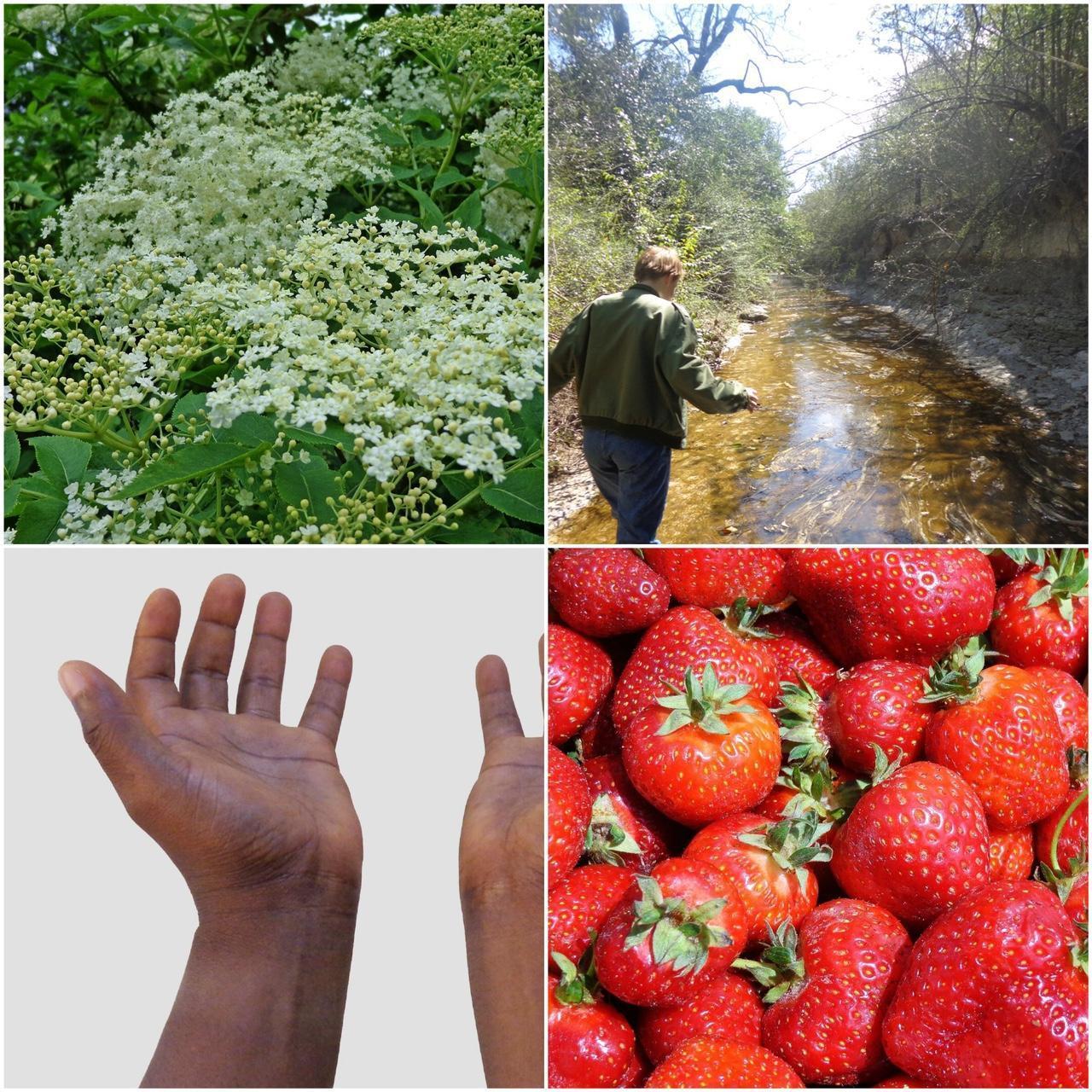 Used Canon CyberShot H90 Digital Camera — Tested & Ready! 📸