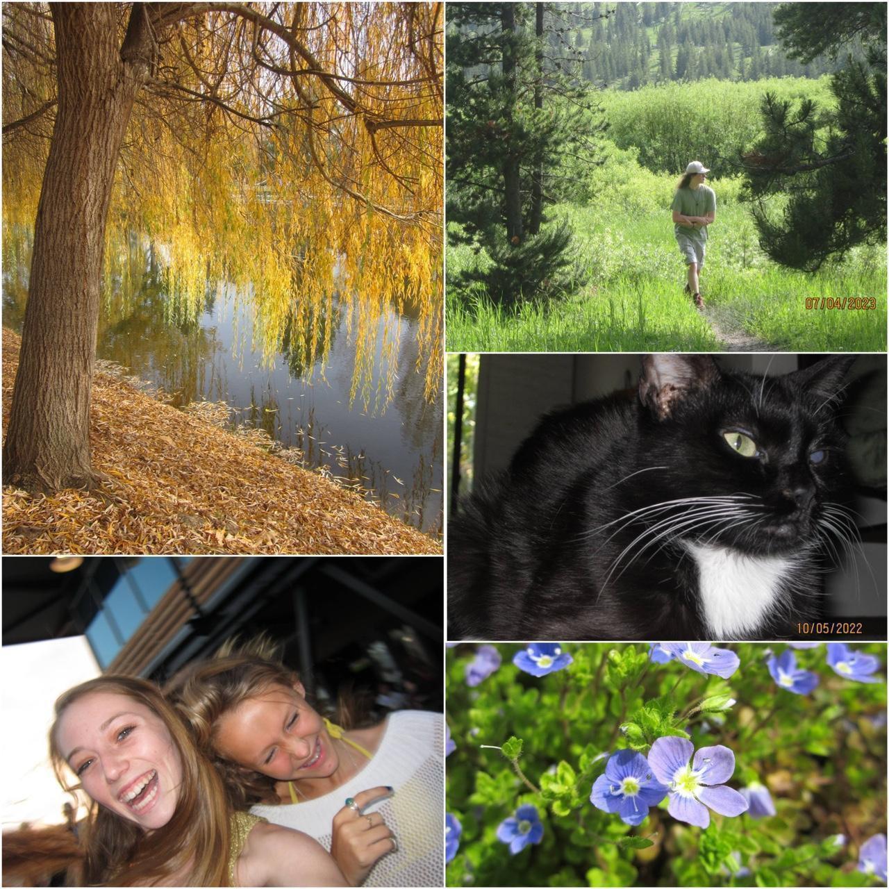 Used Canon Powershot A2200 Digital Camera — Tested & Ready! 📸