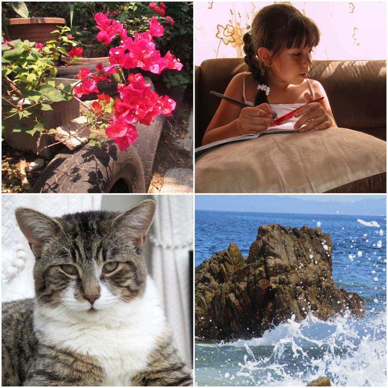 Used Canon Powershot Elph 160 Digital Camera βΉποΈΛ β