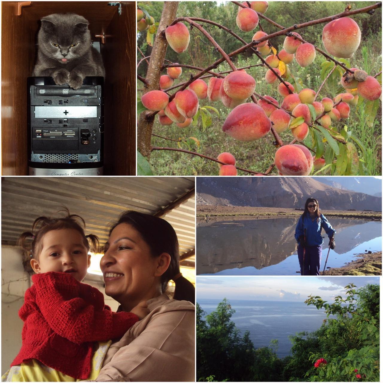 Used Sony Cyber-shot S930 Digital Camera — Tested & Ready! 📸