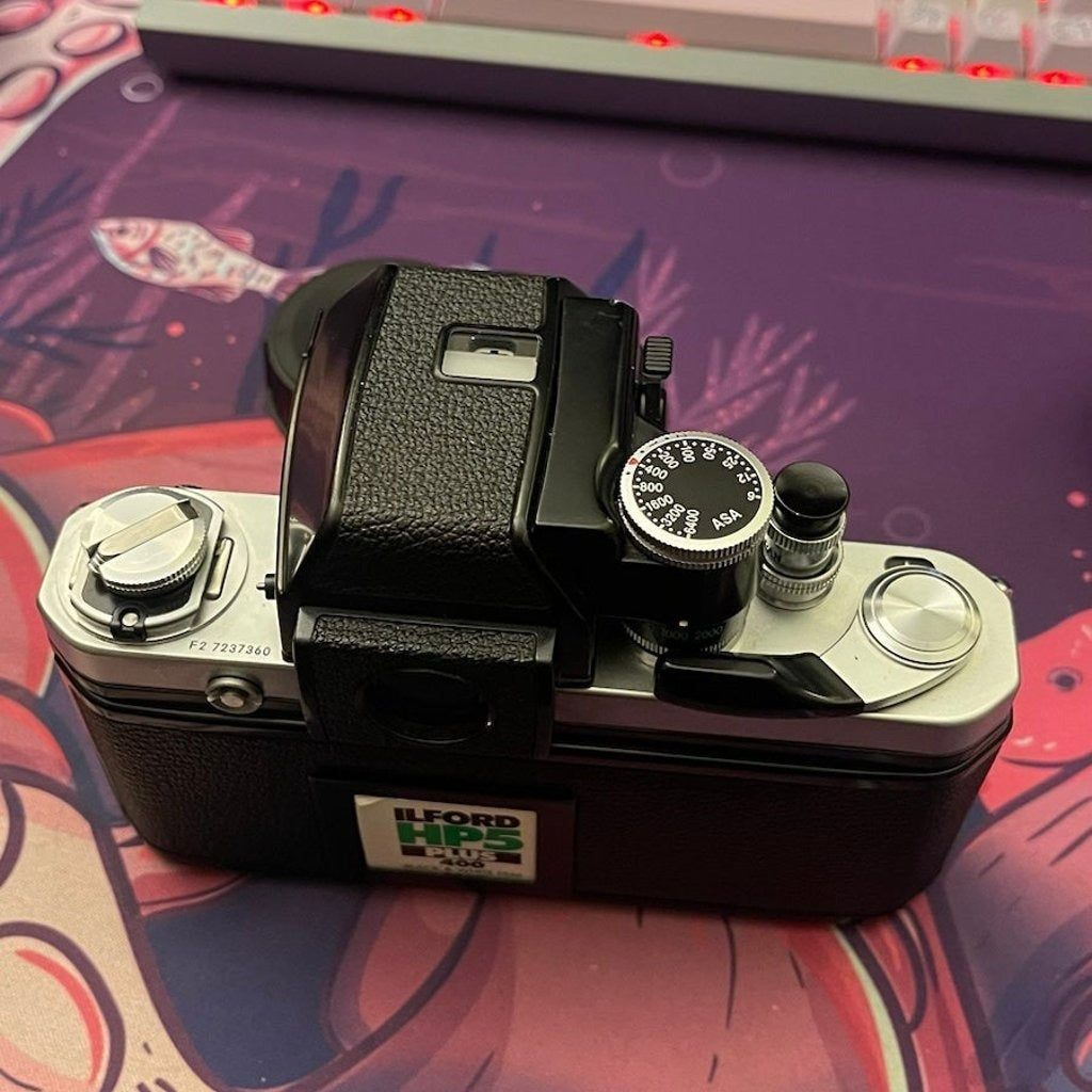 🍇 ₊˚💜 Nikon F2 Film Camera (Silver) with 35mm and 50mm Lenses 🍥 🎀📷